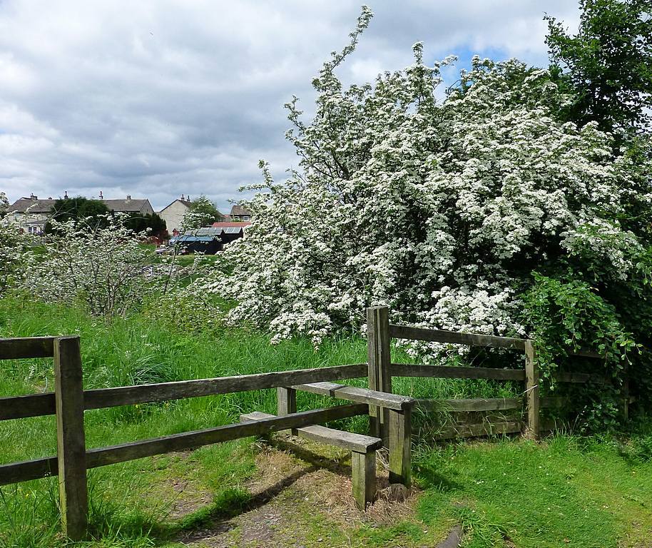 Style to footpath on former railway line near School Road. 23rd June 2015